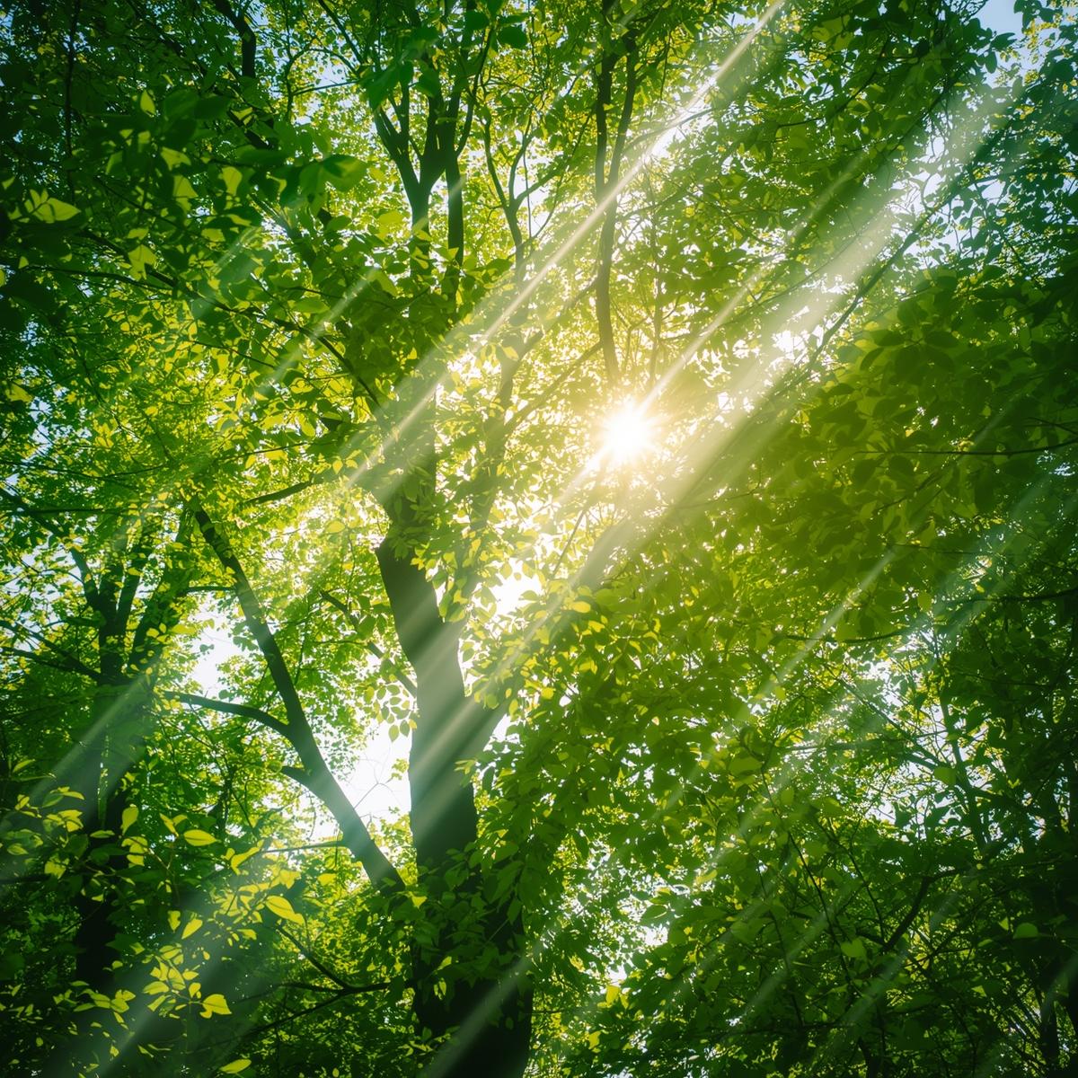 こころの悩み、一人で抱えていませんか？